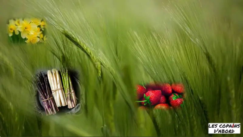 Notre carte de printemps arrive !